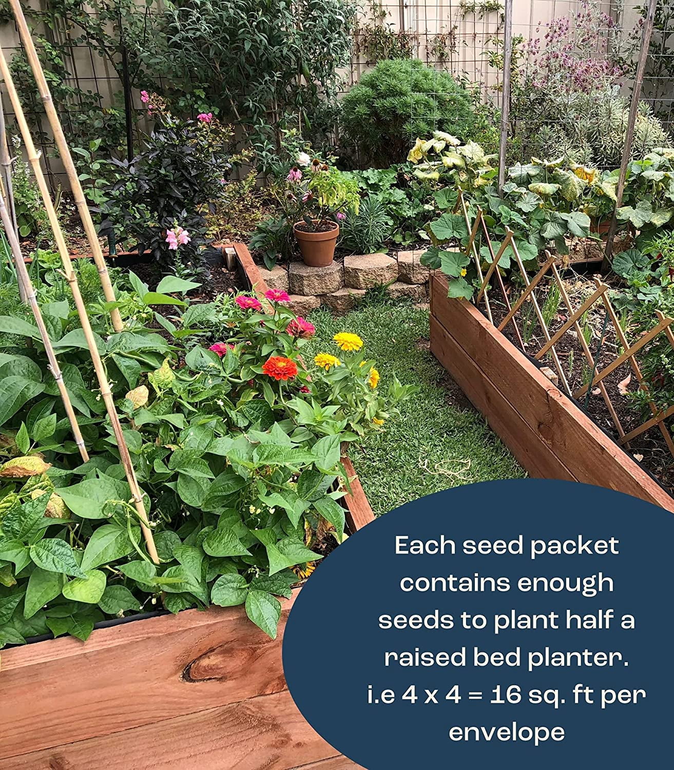 Vegetable Seeds Planting - Heirloom Non GMO Veggie Garden Plant Seeds - Great for Planting Indoor or Outdoors | Veggie Seeds Packet for Home Garden- 8 seeds to plant!
