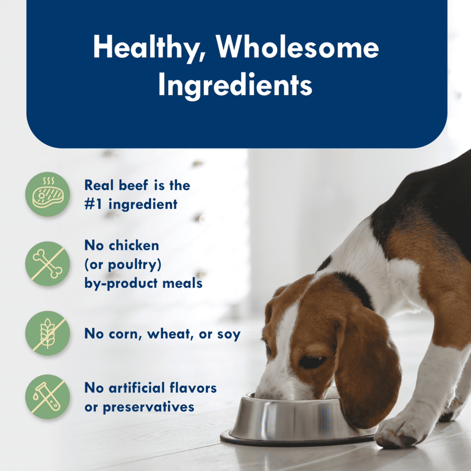 Blue Buffalo Delights Wet Dog Food, Small Breed, New York Strip Flavor, 3.5 oz Cup, 99g