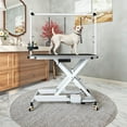thumbnail image 3 of ModFusion 47 Inch Folding Dog Grooming Table with AC Outlet, Tool Storage, Casters, Arm, 3 Loops Adjustable Feet, 1.1 ft-3.2 ft Portable Pet Bathing Stand, White Metal Steel, Black Mat, 3 of 9