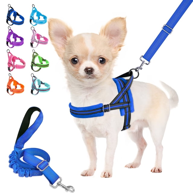 Juego de arnés y correa para perros Lukovee, acolchado suave para perros pequeños