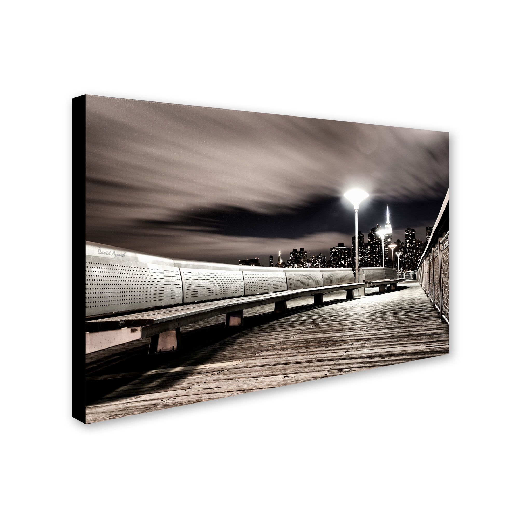 Trademark Fine Art "NYC" Canvas Art by David Ayash