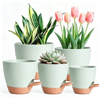 standard plant pot sizes 12-Piece Flower Pot and Saucer Set, (2