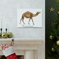 thumbnail image 5 of Majestic Camel Art Majestic Camel Print Animal Wall Art Wildlife Canvas Prints Wall Art Ready to Hang Unframed, 5 of 18