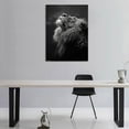 thumbnail image 4 of VELVET Lion Canvas Prints Art Modern Animals Pictures Wall Art Lion Looks Up at the Stars Posters Black and White Posters Wall Decor Living Dining Room Decor Ready to Hang- 20x24inch Framed, 4 of 6