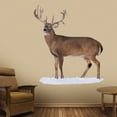 thumbnail image 3 of Broadside Whitetail Buck - Cutout, 3 of 4