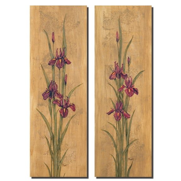 Iris Of Delos I Lovely Burgundy Greek Iris, Floral Decor; Two 8X20 Poster Prints