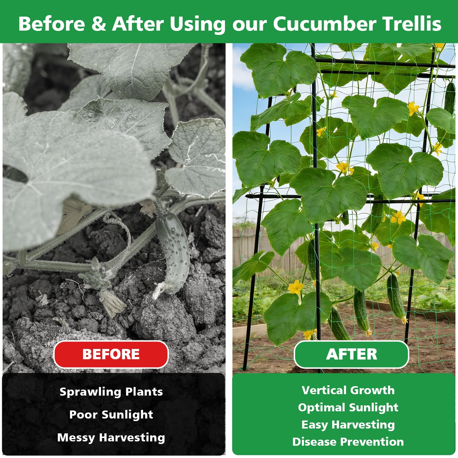 ROMUCHE Thickened Tube Garden Arch Trellis, 5.9ft Tall Metal Cucumber Trellis Large Arbor Trellis for Climbing Plant Support Vines Vegetable Flower Raise Bed