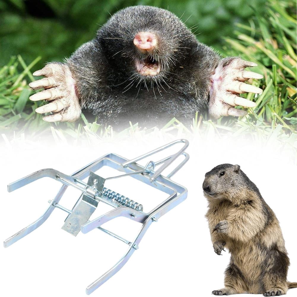 Mole Traps That Kill Best,Mole Trap Easy to Set,Galvanized Steel Gopher Traps for Lawns,Reusable Quick Capture Gopher Hawk Vole Trap Outdoor Use