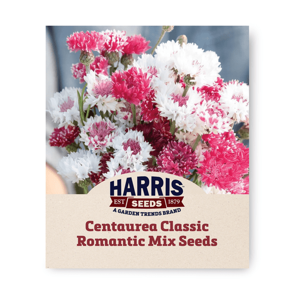 Harris Seeds - Centaurea Classic Romantic Mix Seeds - NON-GMO - 1K Seeds