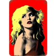 thumbnail image 2 of Hojalata Rectangular Wdftyju 30*40cm Plano Serie Personajes Debbie Harry, 2 of 9