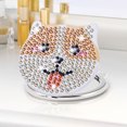 thumbnail image 1 of Cuadros Decorativos DIY Diamond Art Vanity Mirror Handheld Beginner Arts Crafts Regalos (057) Wdftyju embutido en tela, 1 of 1