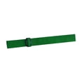 thumbnail image 1 of AWHAO Golf Swing Training Band Auxiliary Tool Gift Position Correction Convenient Golf Dark Green 172cmx4cm, 1 of 9