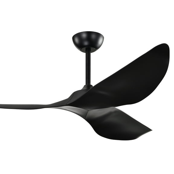 Duncan 52 in. Indoor Matte Black Finish Ceiling Fan with Light Kit