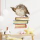 thumbnail image 2 of Pájaro Con Patrón, Libro, Niños Jugando, Dormitorio, Salón, Porche, Decoración De Pared, Adhesivo Decorativo., 2 of 6