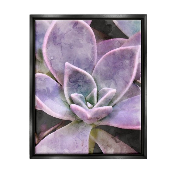 Purple Succulent Close Up Botanical & Floral Graphic Art Jet Black Framed Art Print Wall Art