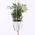 thumbnail image 6 of Travelwant 4Pcs Macrame Plant Hanger Large for Pot Extra Long No Tassel Cotton Rope Hanging Plant Holder, 6 of 7