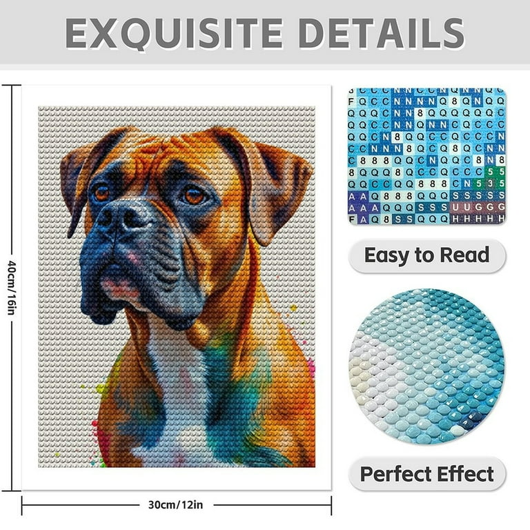 YSCOLOR Diamond Painting 5D – Cane Bichon Frise, Kit Completo 30x40 Cm Con Tela, Diamanti Rotondi, Penna E Vassoio, Fai Da Te Per Adulti E Bambini - 3