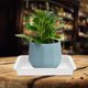 thumbnail image 4 of ELAYARD 6Ud Bandejas Para Plantas Resistentes De Plástico Con Rectangular, 4 of 8