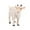 Z, variant on Big Save,HWRETIE Early Development Clearance,Children's Desktop Play House Hand-Made Children's Toys
