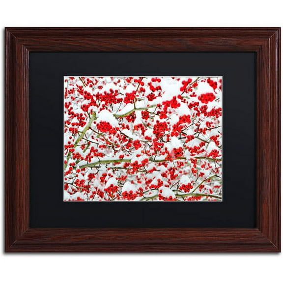 Trademark Fine Art "Winter Berries in the Snow" Canvas Art by Kurt Shaffer Black Matte, Wood Frame