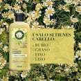 thumbnail image 2 of Acondicionador Herbal Essences Brillo Manzanilla & Pasiflora 400 ml, 2 of 5