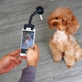 thumbnail image 5 of Herramienta para selfies para mascotas, palo para selfies para teléfono móvil, herramienta de fotografía con soporte para golosinas para perros, atrae la atención de las mascotas, herramient, 5 of 5