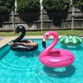 thumbnail image 2 of Lámpara flotante inflable con energía Solar para piscina de flamencos, paseo acuático para adultos RGB, 2 of 8