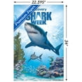 thumbnail image 3 of Shark Week - Shark Adventure Wall Poster, 22.375" x 34", 3 of 5
