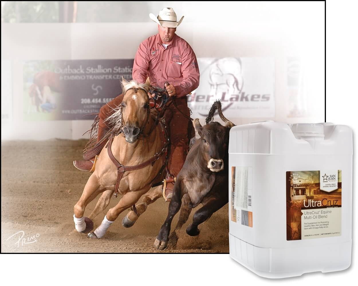 UltraCruz Multi-Oil Blend Supplement for Horses, Dogs and Livestock, 5 Gallon