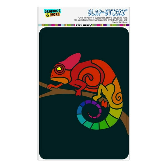 Rainbow Chameleon Home Business Office Sign