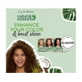 thumbnail image 3 of Natural Instincts Non-Permanent Haircolor 5G Medium Golden Brown, 3 of 4