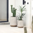 thumbnail image 4 of LuxenHome 22.1" H Tapered Tall Planter Indoor Outdoor Large Plant Pot Modern Striped MgO Planter Pot, 4 of 7