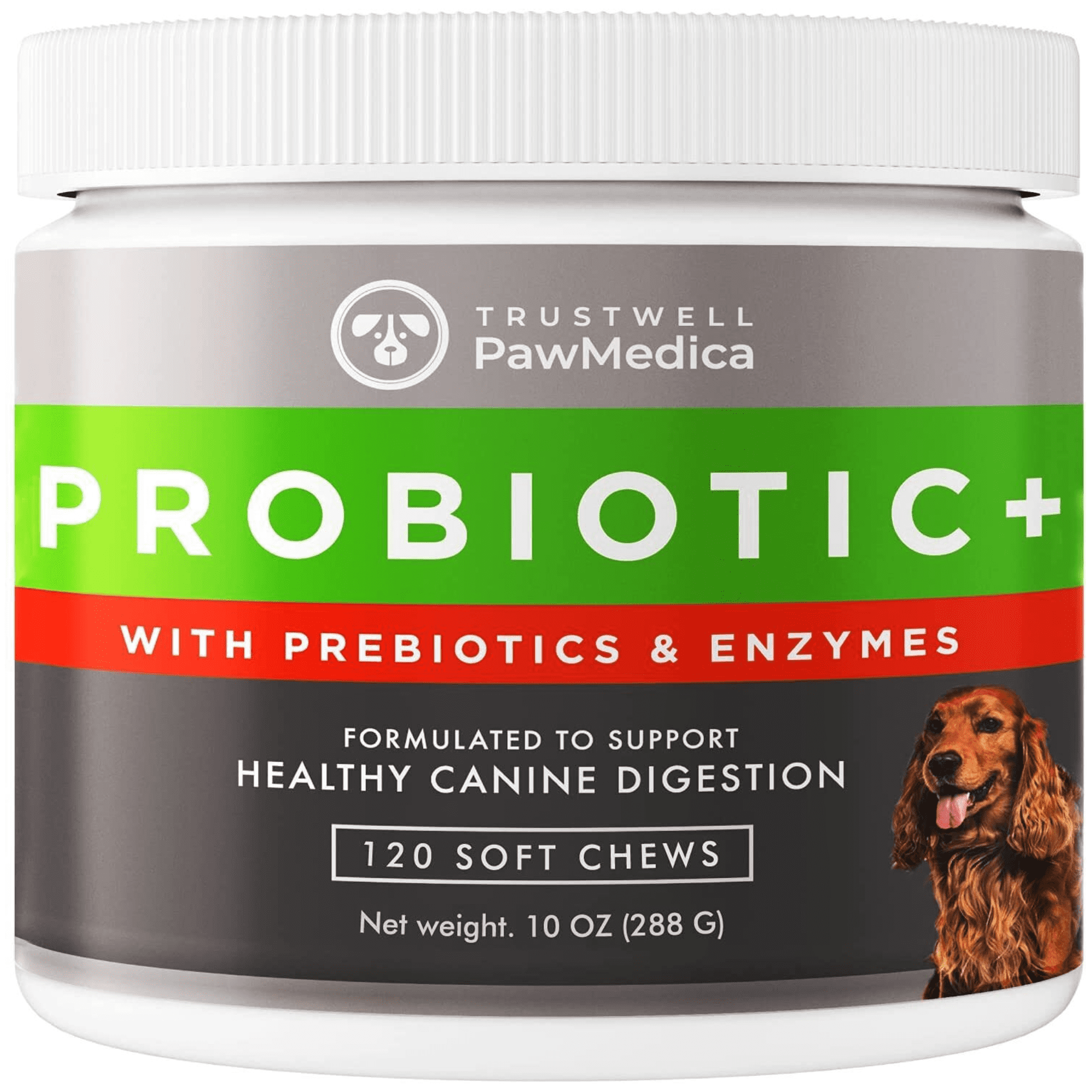 walmart dog diarrhea medicine