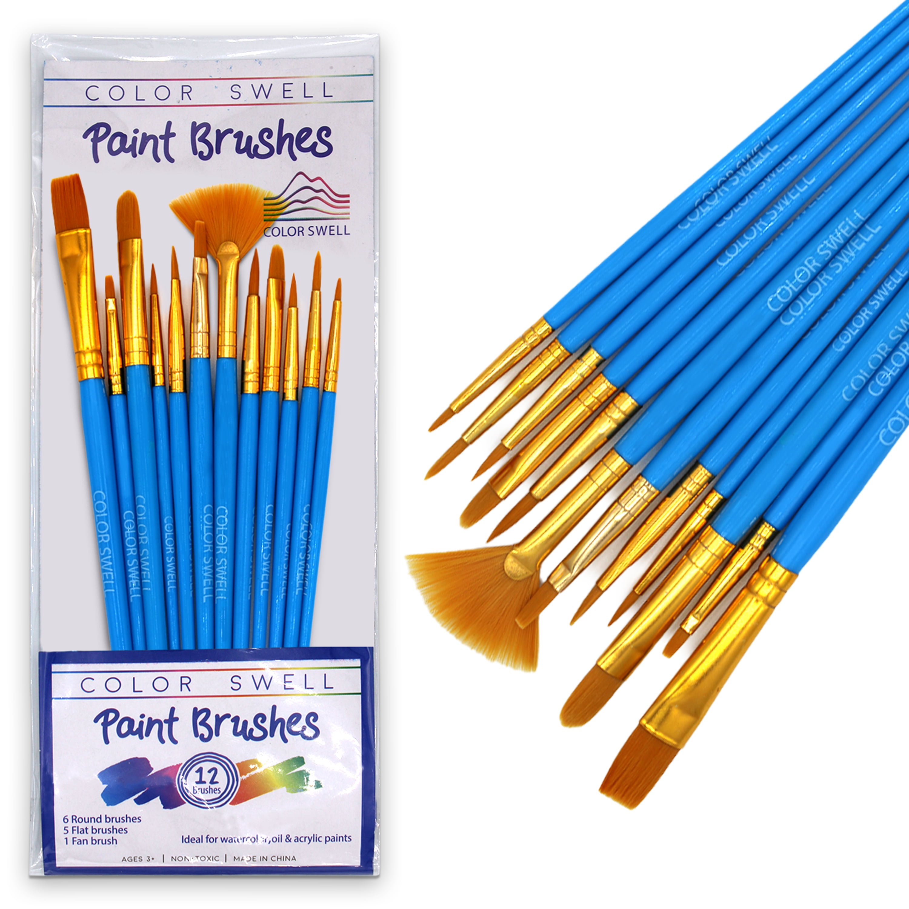 Color Swell - 12 paint brush paint - 36 pack