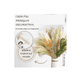 thumbnail image 3 of 60pcs Pampas Secas Plantas Decorativas Flores Artificiales Verde claro, 3 of 5