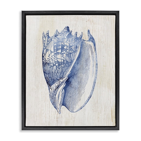 Stupell Industries Coastal Nautical Soft Blue Conch Black Floating Frame Canvas Art, 17 x 21, by Susan Arnot