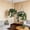 colorful-6B Home Decor, variant on karymi 15 Faux Crepe Myrtle Hanging Baskets Set of 2 Artificial Fake Hanging Plants Flowers Basket for Spring Summer Outside Decoration Womens Gifts