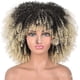 thumbnail image 1 of Fashion Wig Curly Hair Explosion High Temperature Silk Rose Mesh Wig Full Head Cover, 1 of 2