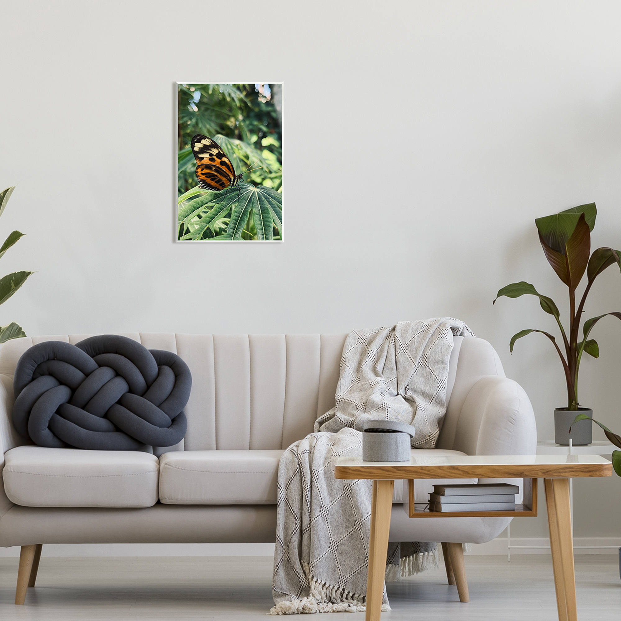Stupell Industries Monarch Butterfly on Leaf Animals & Insects Photography Unframed Art Print Wall Art, 13 x 19