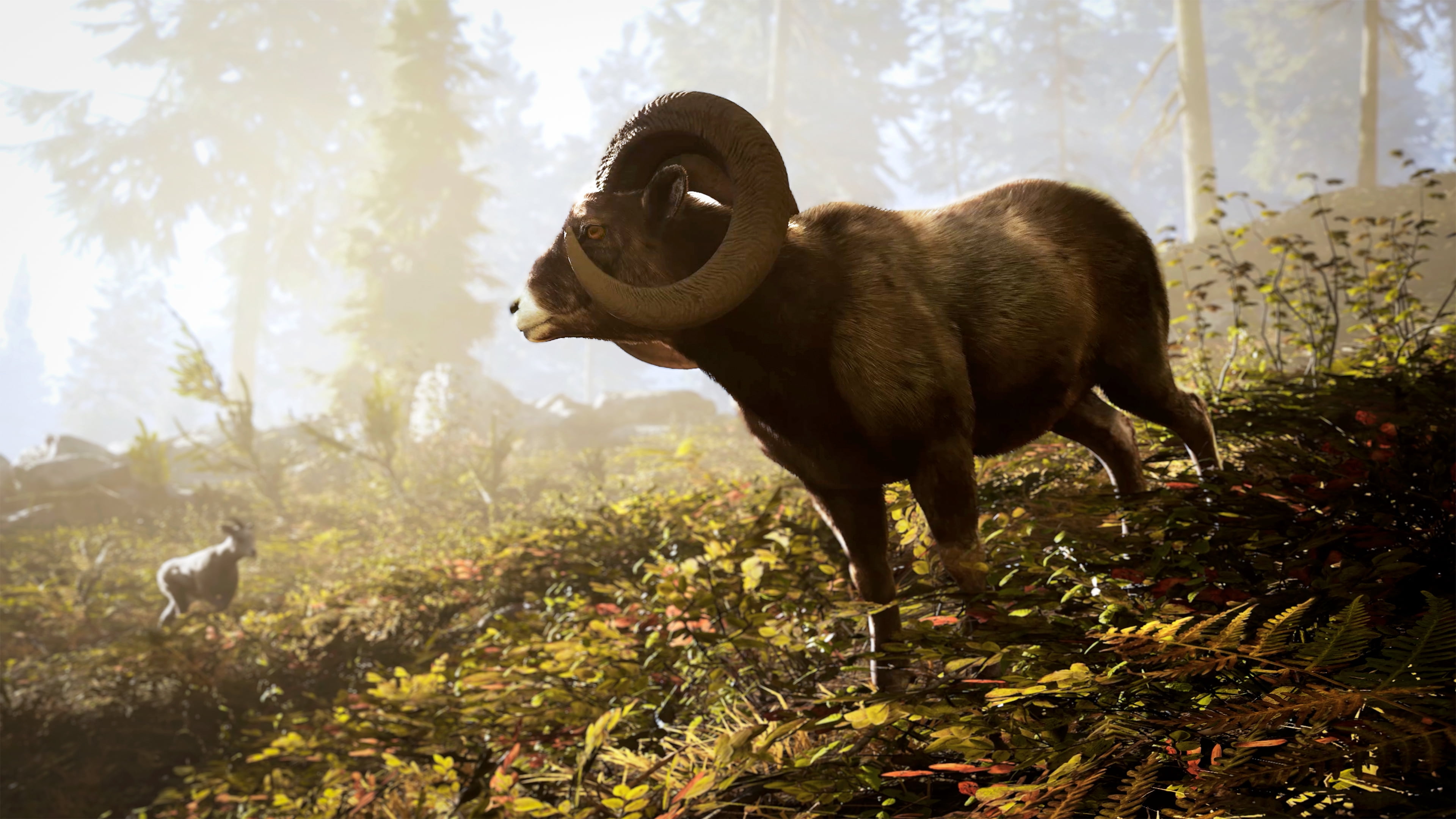 Hunting Simulator 3 – Xbox Series X