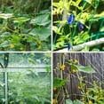 thumbnail image 5 of Garden Trellis Netting 4x4 in 27 Strands Mesh Plant Growing Supporting Climbing Net Green 6x3', 5 of 5