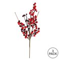 thumbnail image 2 of Vickerman FY190102 Pic de Baies Rouges Extérieur 18 Po., 2 of 3