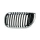 thumbnail image 1 of PARRILLA SERIE 3 2002 al 2005 BMW Izquierda/Piloto TONG YANG, 1 of 4
