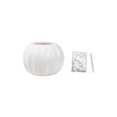 thumbnail image 2 of HBBKVI Originality Plastic Flower Pot Imitation Pumpkin Shape Decoration Vase Festive Dress Material Two Halves Splicing Halloween Decor, 2 of 6