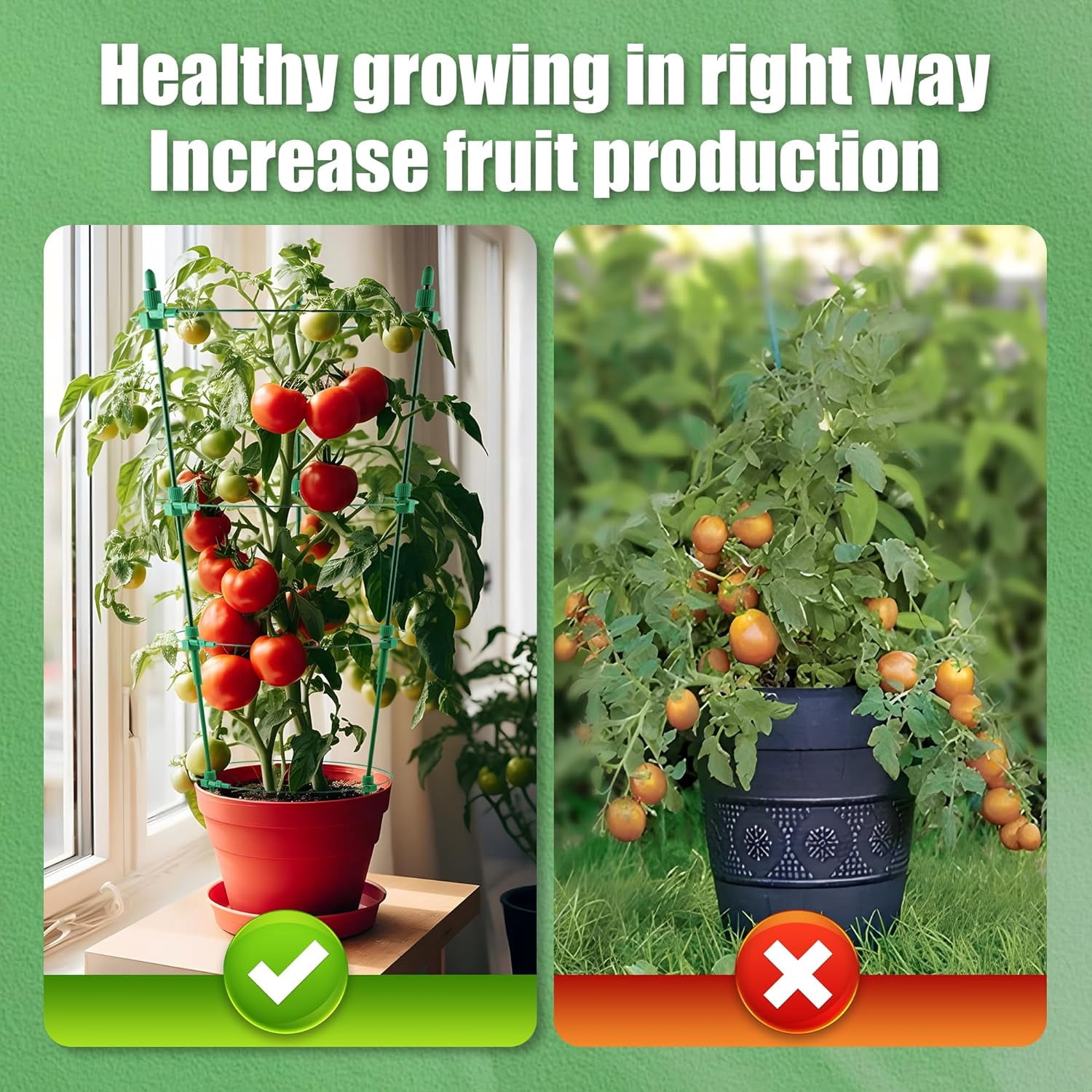 Plant green plant cutting and cultivation rack