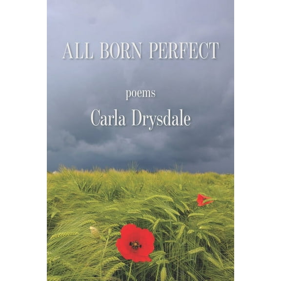 All Born Perfect (Paperback)