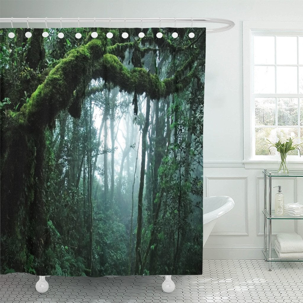 PKNMT Green Jungle Tropical Rain Forest Rainforest Tree Tropic