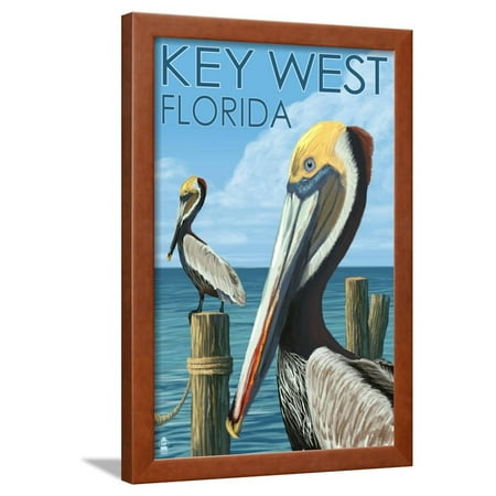  Key  West Florida Brown Pelican Framed Print Wall Art  By 