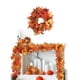 thumbnail image 4 of Enredaderas colgantes Btafrte Hoja arce 5,7 pies, 4 of 9