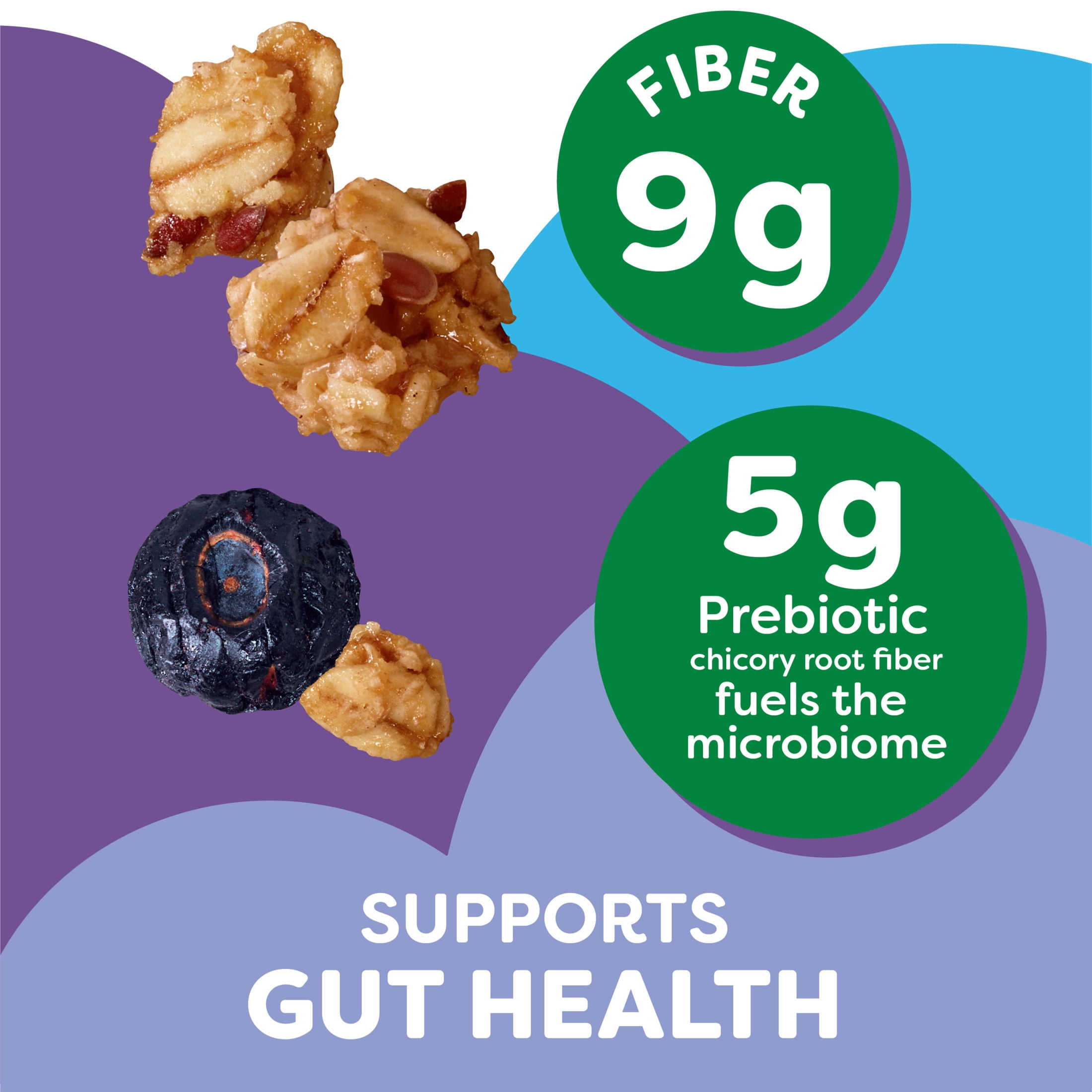 (5 pack) Kashi Gut Health Blueberry Almond Granola, Prebiotics and High Fiber Bag, 8 oz